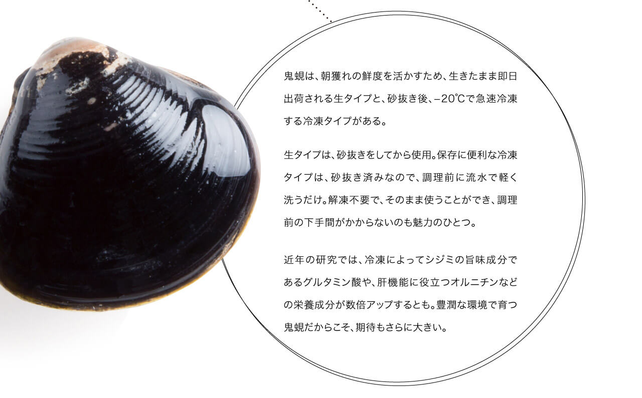 鬼蜆は、朝獲れの鮮度を活かすため、生きたまま即日出荷される生タイプと、砂抜き後、−20℃で急速冷凍する冷凍タイプがある。